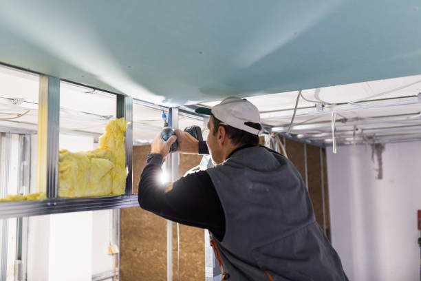 Best Cellulose Insulation in Philadelphia, MS