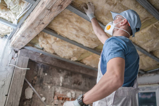 Best Spray Foam Insulation in Philadelphia, MS