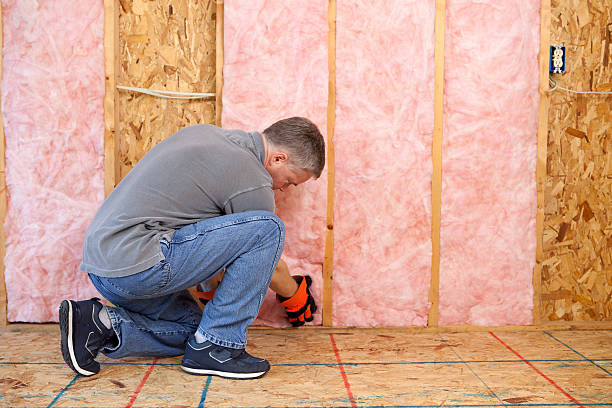Best Eco-Friendly Insulation in Philadelphia, MS